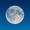 How sweet the strawberry full moon will be over the next few nights