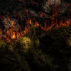 Wildfire photo wins national award for BC photographer