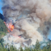 Wildfire near Port Alberni triggers evacuations, road closure