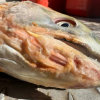 One year after Chilcotin landslide, risks to salmon could worsen