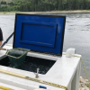 First sockeye salmon in 86 years return to upper Columbia, nearing BC