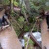 RCMP seeking witnesses to assault involving 3 youths and an adult at BC bike park