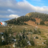 2 hikers attacked by a grizzly bear outside of Prince George