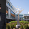‘A full system reset now’: Kelowna MLA calling for Interior Health CEO to resign