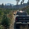Charges laid against 2 men in connection to killing of Texada Island grizzly bear