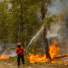 Opinion: BC's dry forests are a consequence of bad decisions. But the fix is simple – and cheap