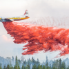 Newly discovered wildfires reported burning out of control in BC