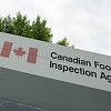 Control zones set up in the Fraser Valley after Newcastle disease detected