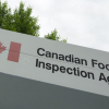 Canadian Food Inspection Agency finds rare disease at BC commercial pigeon premises