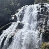 Hiker dead after falling into waterfall near Squamish