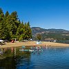 Young mom and baby killed by falling tree at BC lake