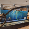 Fierce-looking BC fossil confirmed as new genus, days after death of discoverer