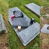 Police searching for suspect after 20 headstones vandalized at BC cemetery