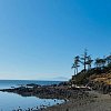 20 more heat records broken in BC on Tuesday including century-old mark