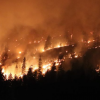 Fighting fire with fire: Experts explore a solution to the wildfire crisis