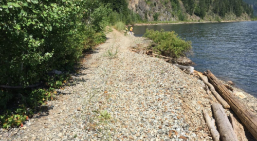 Section of the Shuswap North Okanagan Rail Trail to close next week