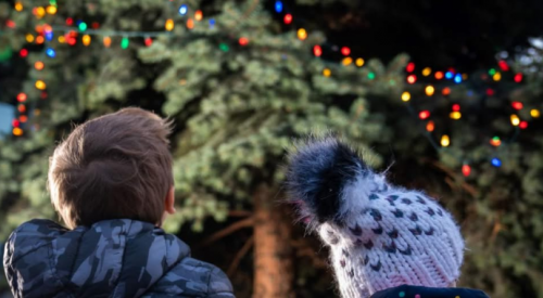 Penticton businesses invited to be part of holiday light display project