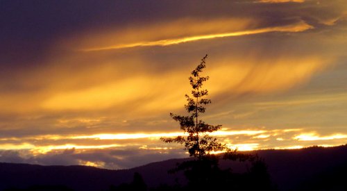 Kelowna weather: Cloudy, chance of showers, high of 26ºC