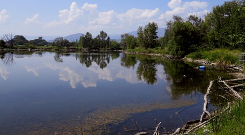 Kelowna weather: Mostly sunny, high of 26ºC, gusty