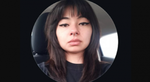 BC Mounties asked to help in search for missing Ontario woman