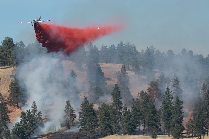 Photo Credit: KelownaNow