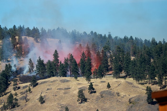 Photo Credit: KelownaNow